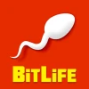 BitLife Life  Simulator
